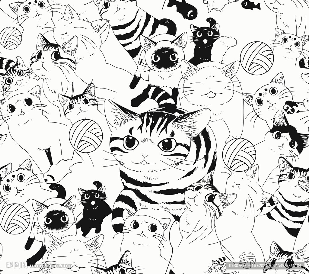 大牌猫猫