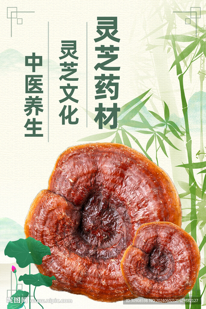 灵芝