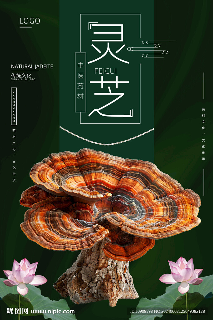灵芝