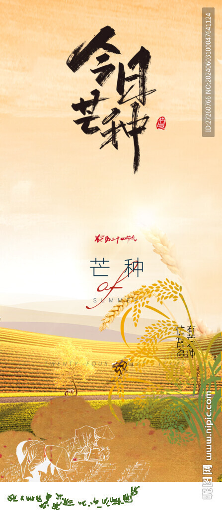 芒种海报