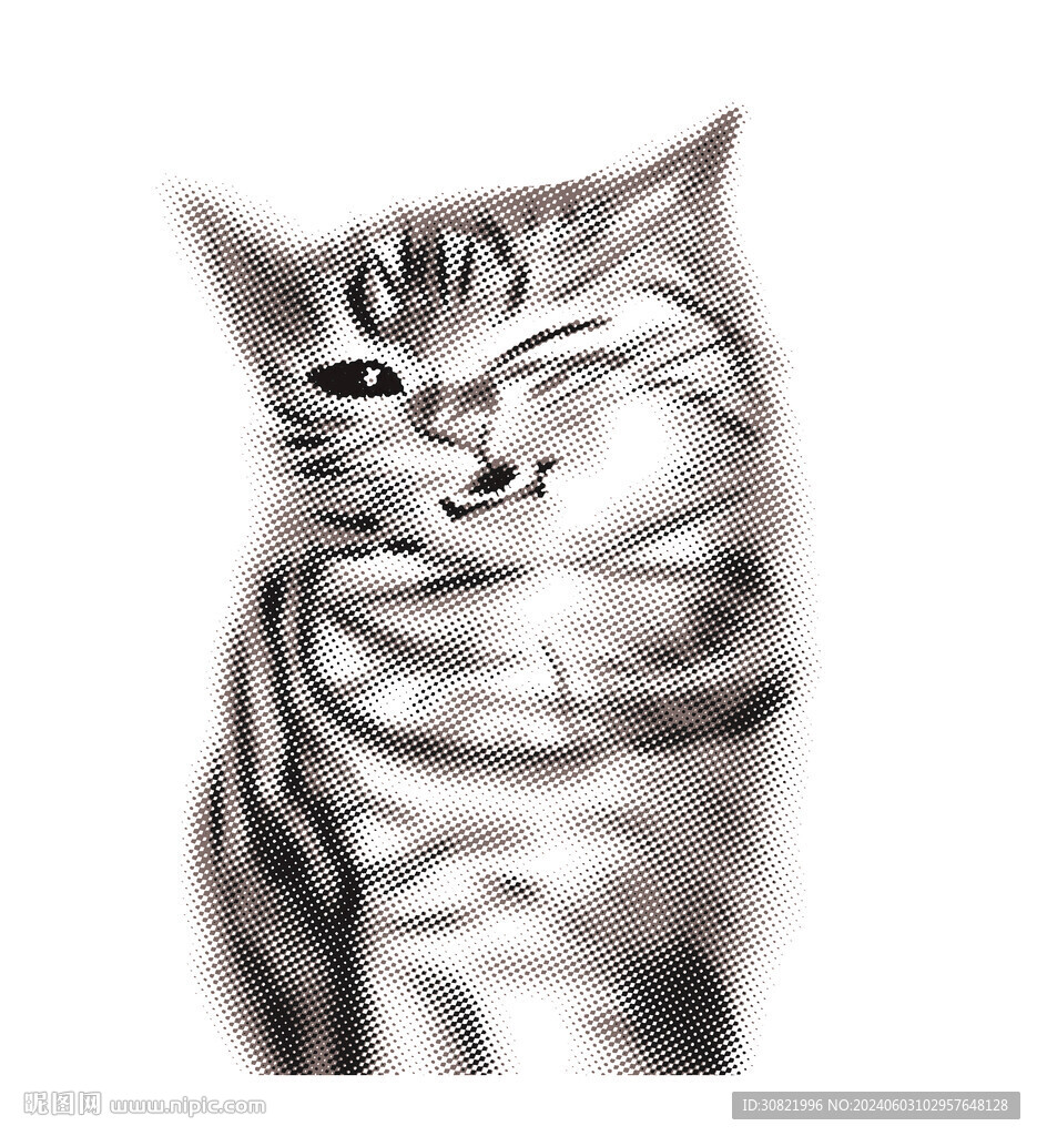 猫咪