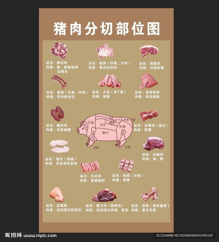 猪肉分解图