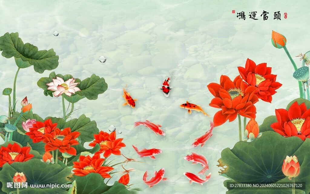 荷花图
