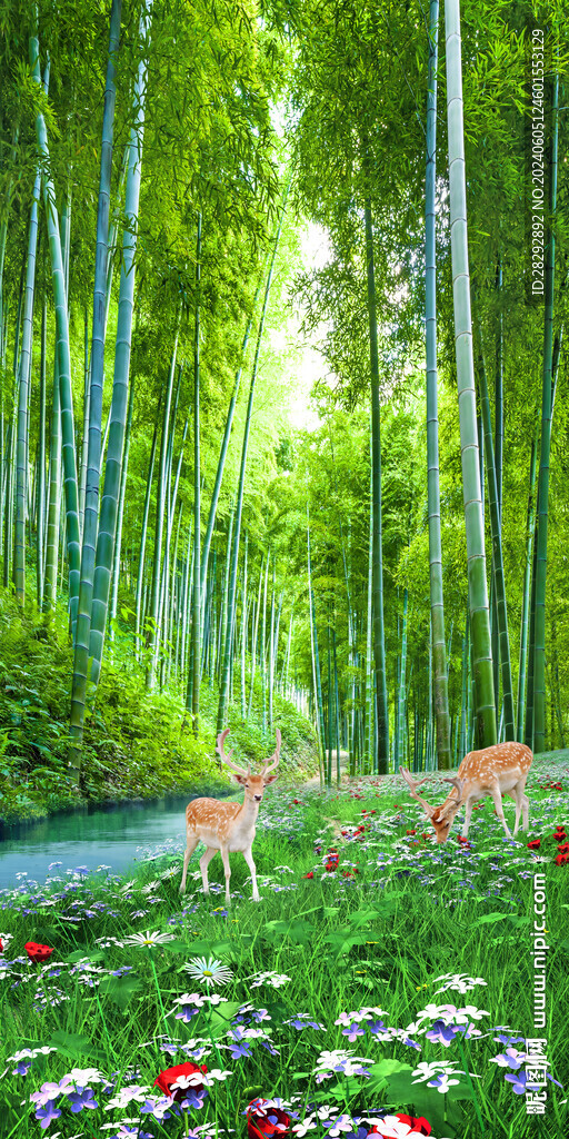 竹林风景