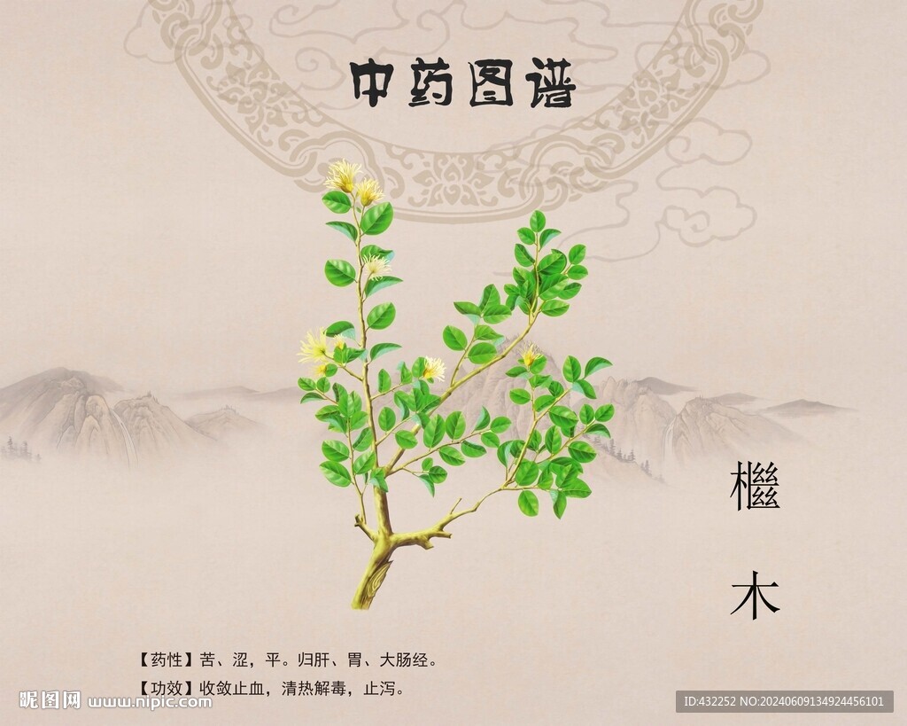 檵木