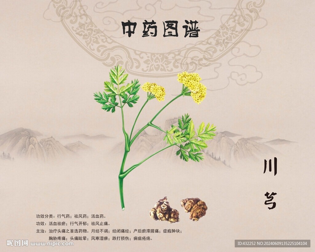 川芎