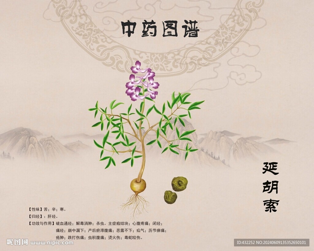 延胡索