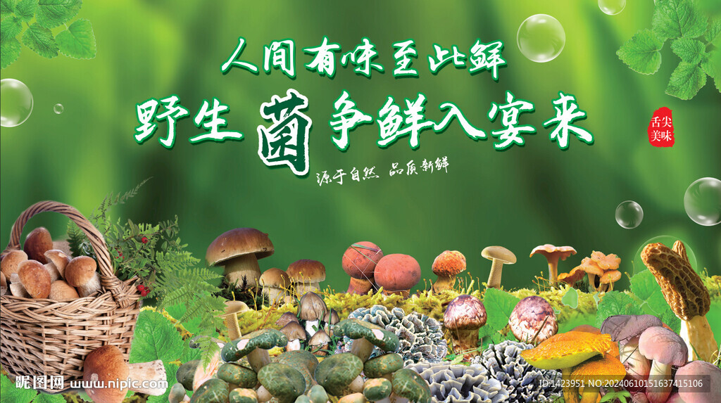 野生菌宣传广告
