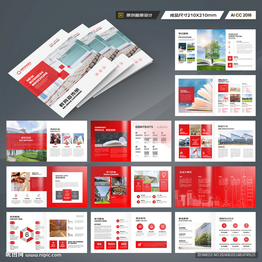 方形教育宣传册