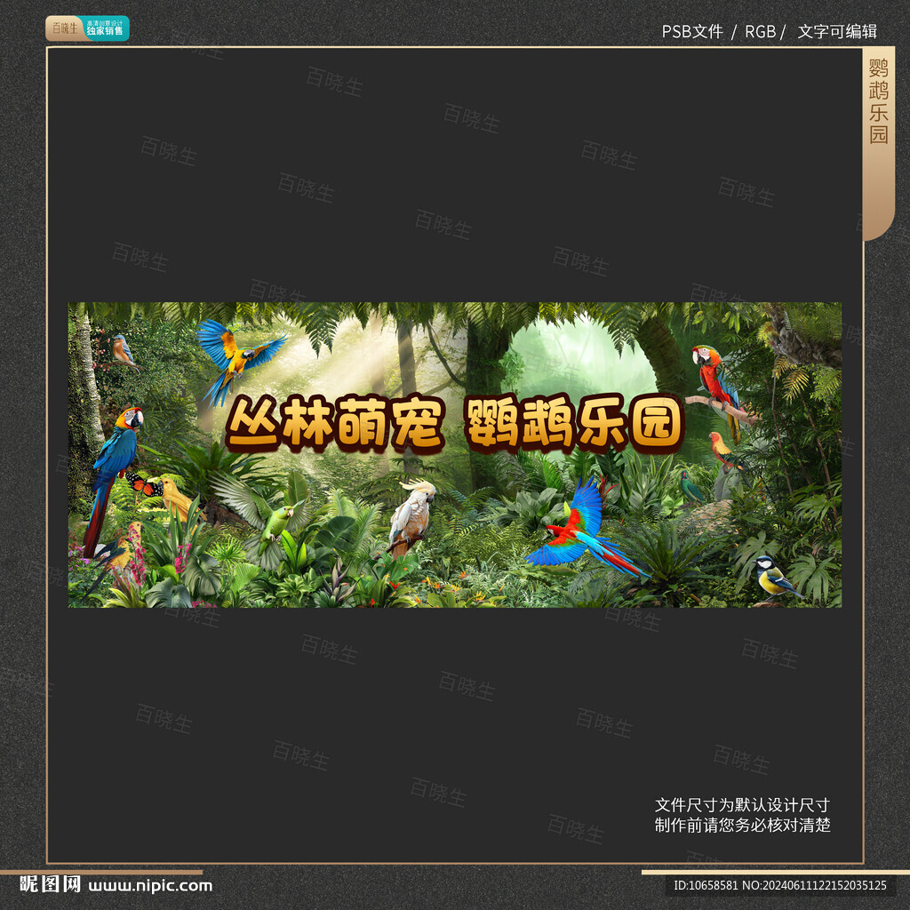 鹦鹉乐园背景