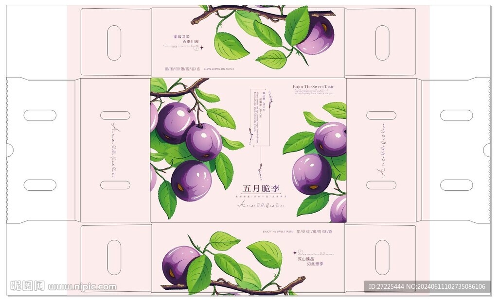 五月脆李礼盒