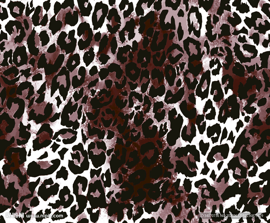 豹纹