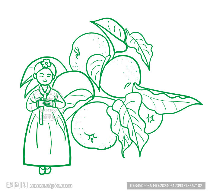 原创手绘线条延边苹果梨插画水果