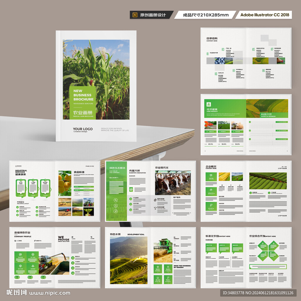 农业合作社画册
