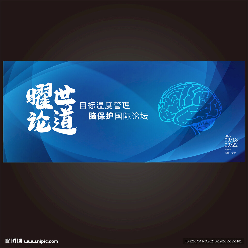 大脑医疗论坛