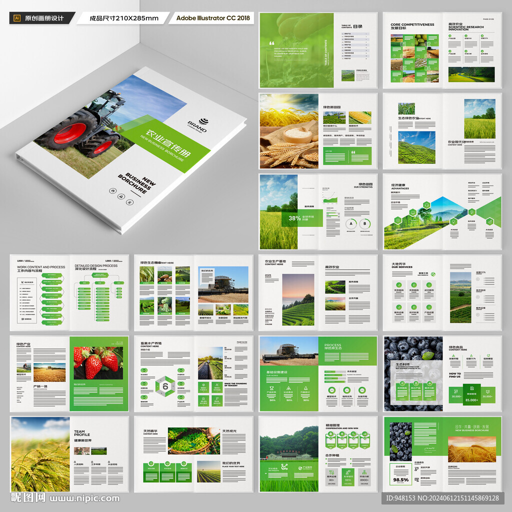 农产品宣传册