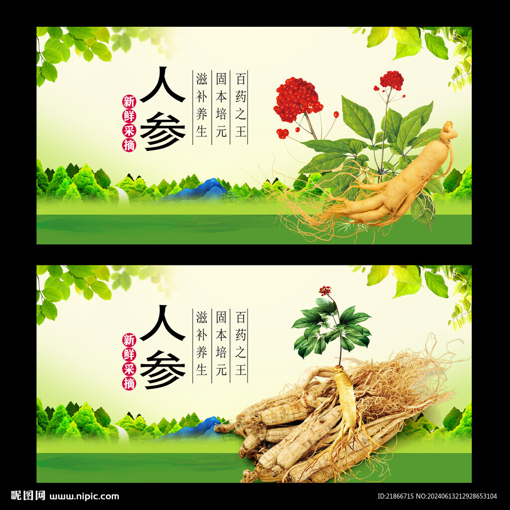 人参