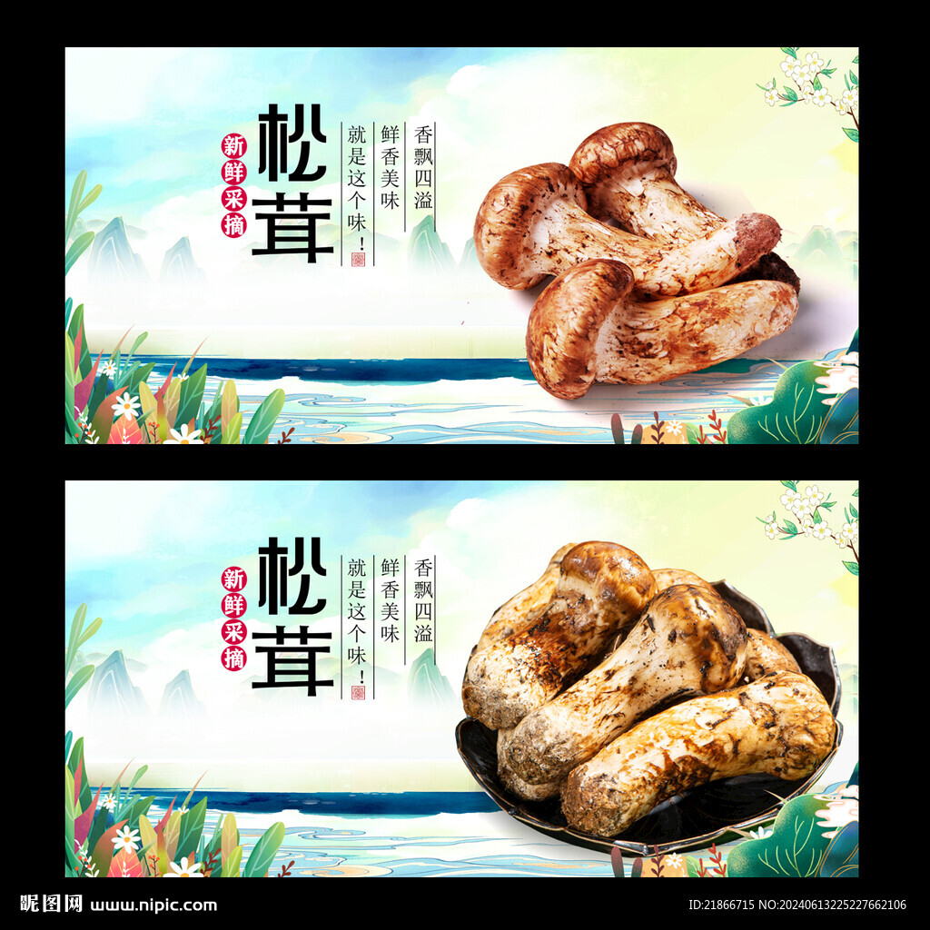 松茸