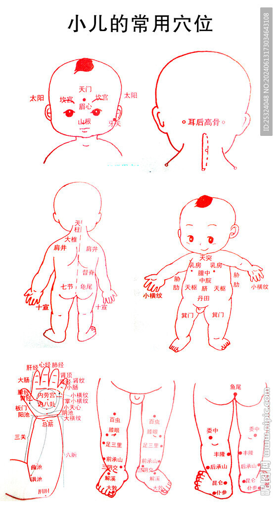孩子小儿穴位图