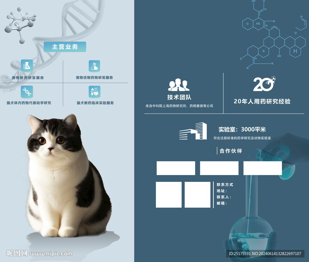 宠物生物海报