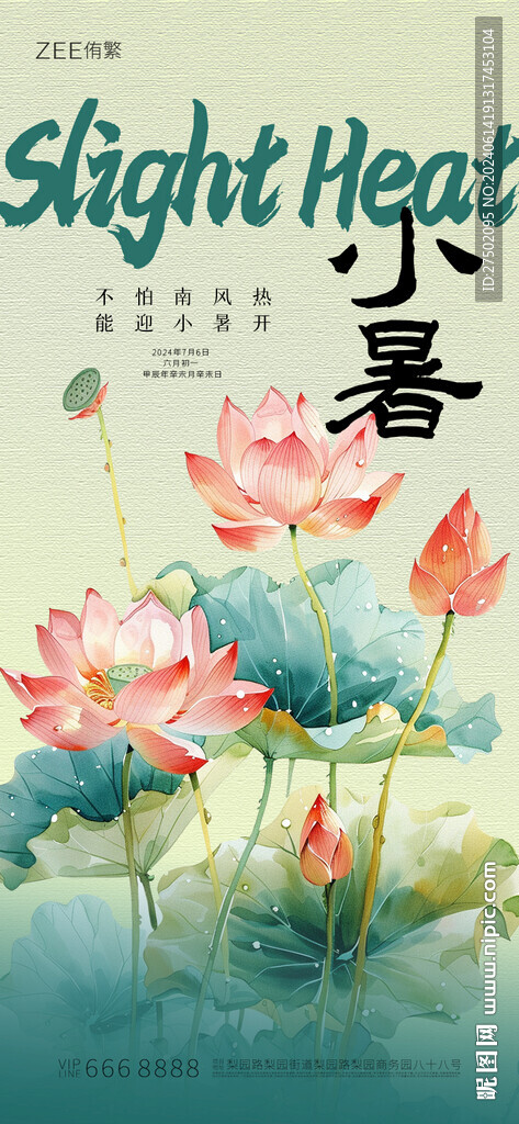 节气海报
