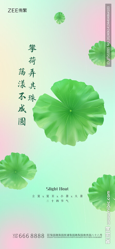 节气海报