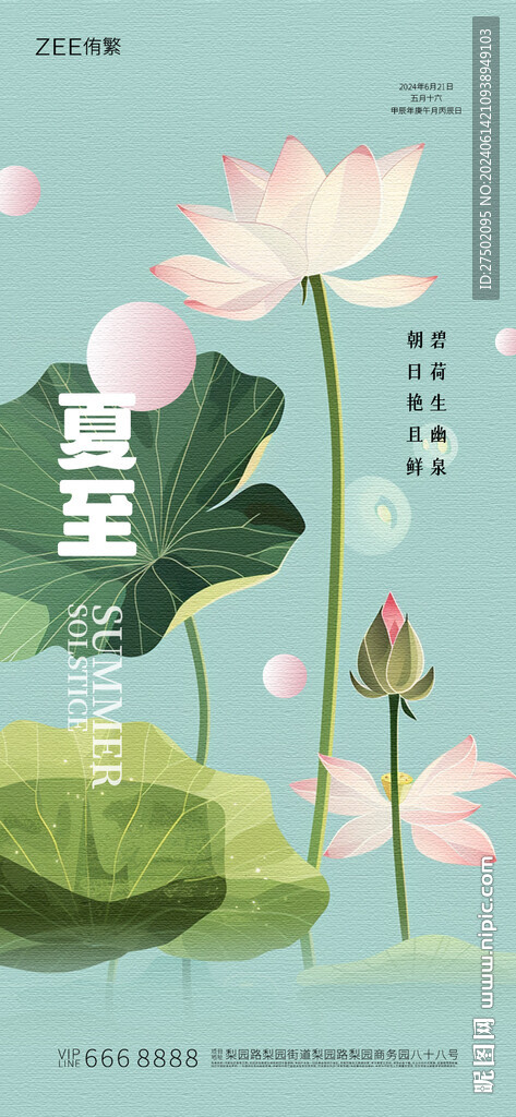 节气海报