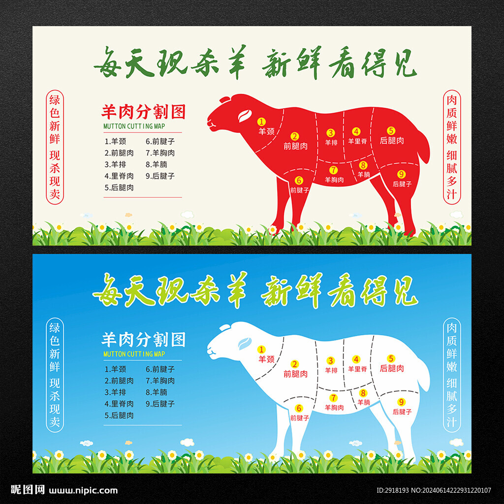 羊肉分割图