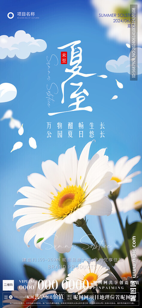 夏至雏菊企业微信海报