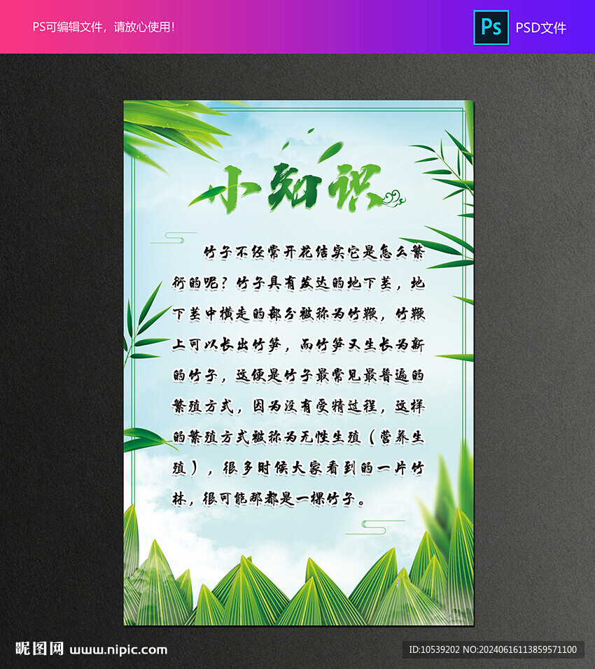 竹子小知识