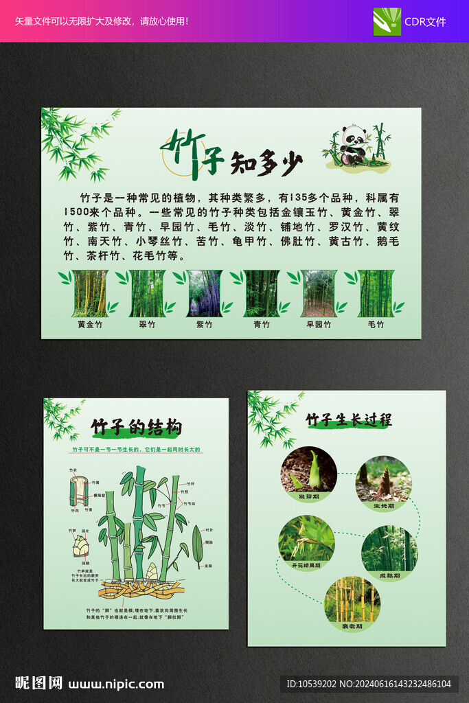 竹文化