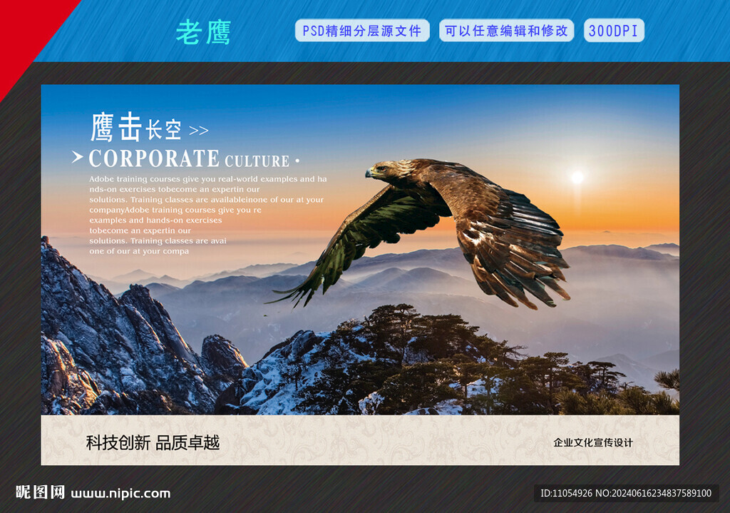 老鹰 展翅高飞