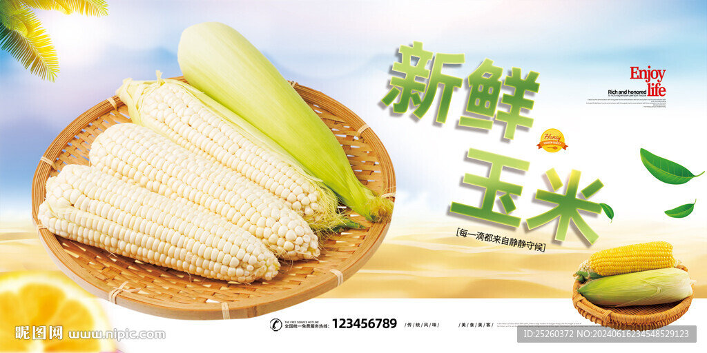 玉米