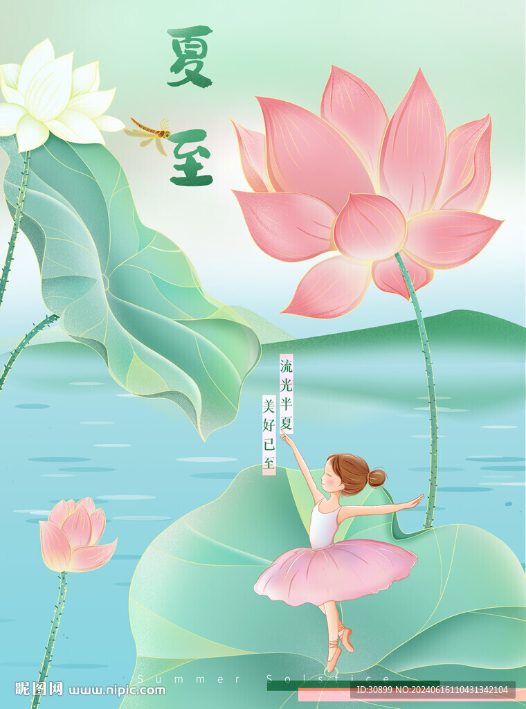 夏至节气荷花跳舞国风插画风海报