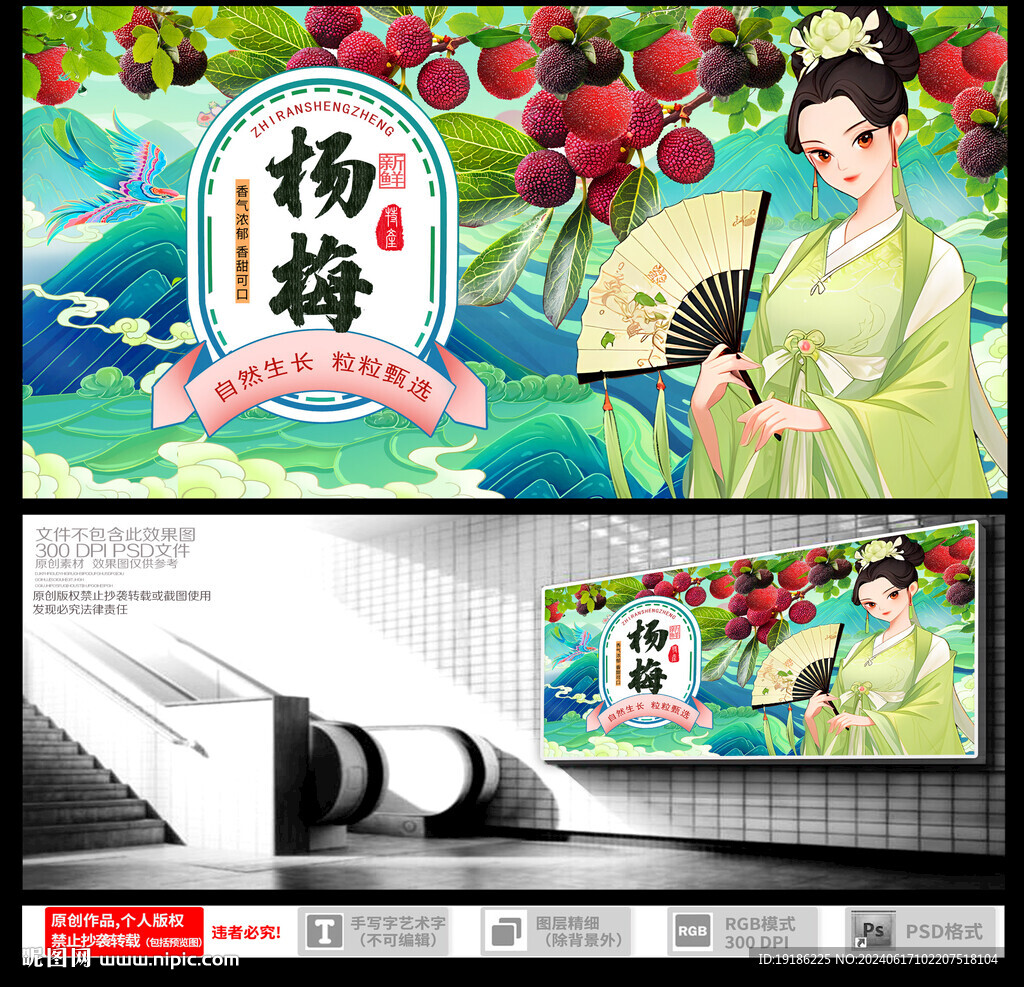杨梅