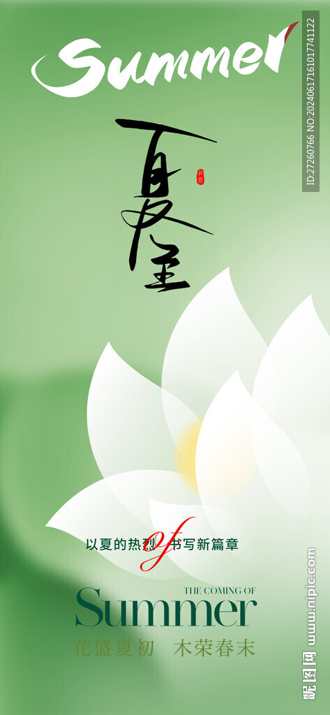 夏至节气海报