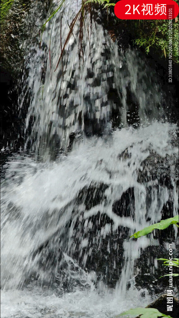 竖版流水水花视频