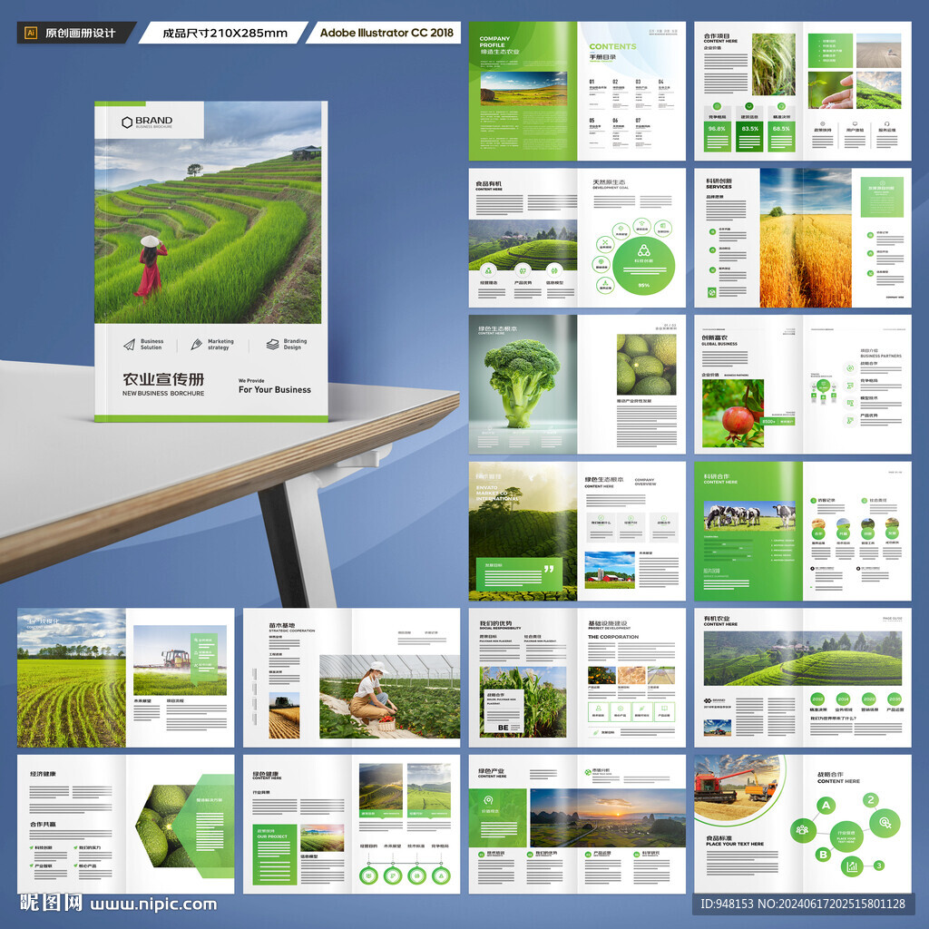 农业合作社画册