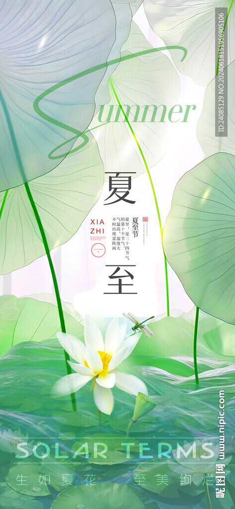 夏至海报