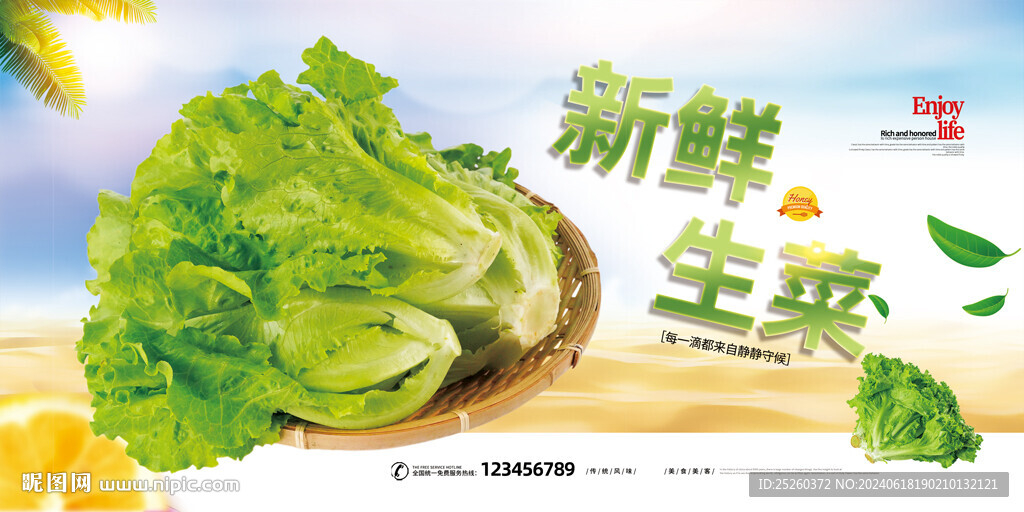 生菜