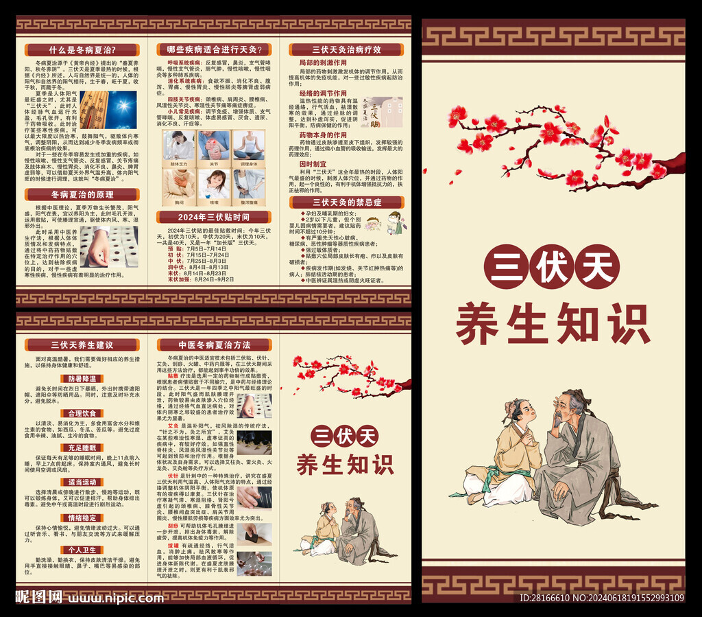 中医三伏天三折页