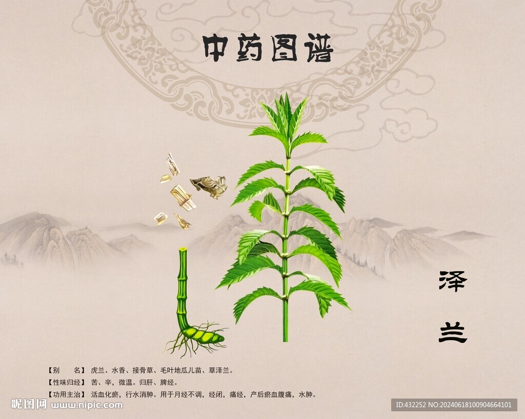 泽兰