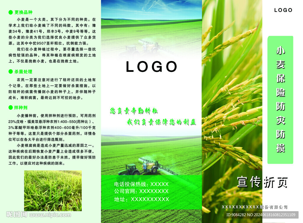 小麦三折页