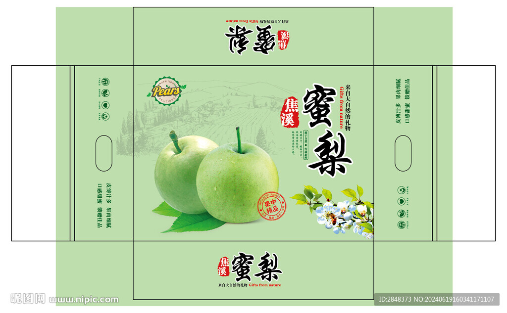 焦溪蜜梨平面展开图