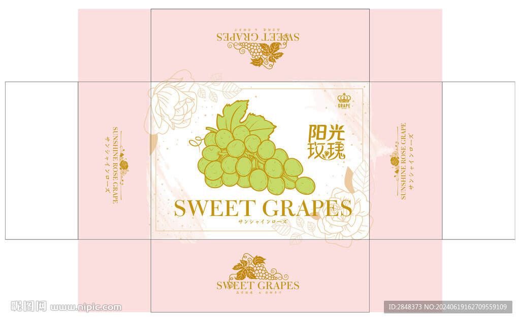 阳光玫瑰葡萄平面展开图