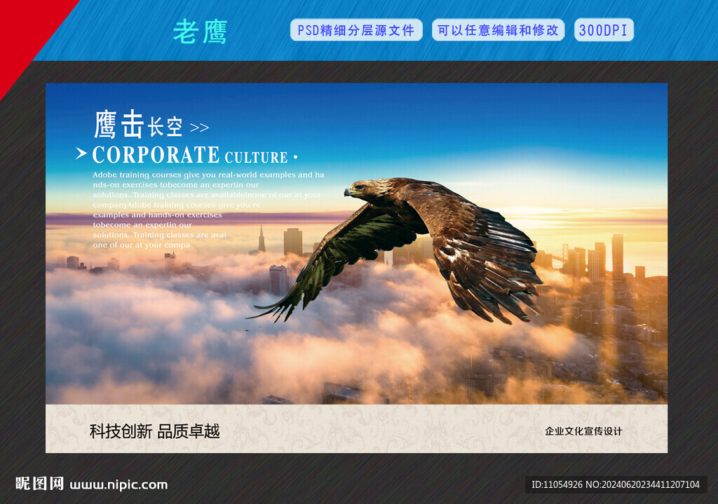 老鹰 展翅高飞