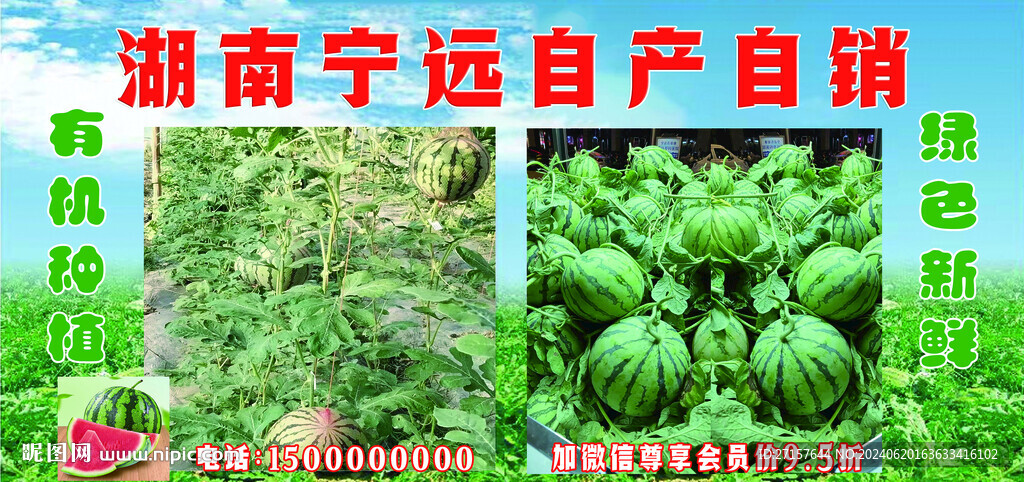 麒麟西瓜宣传海报