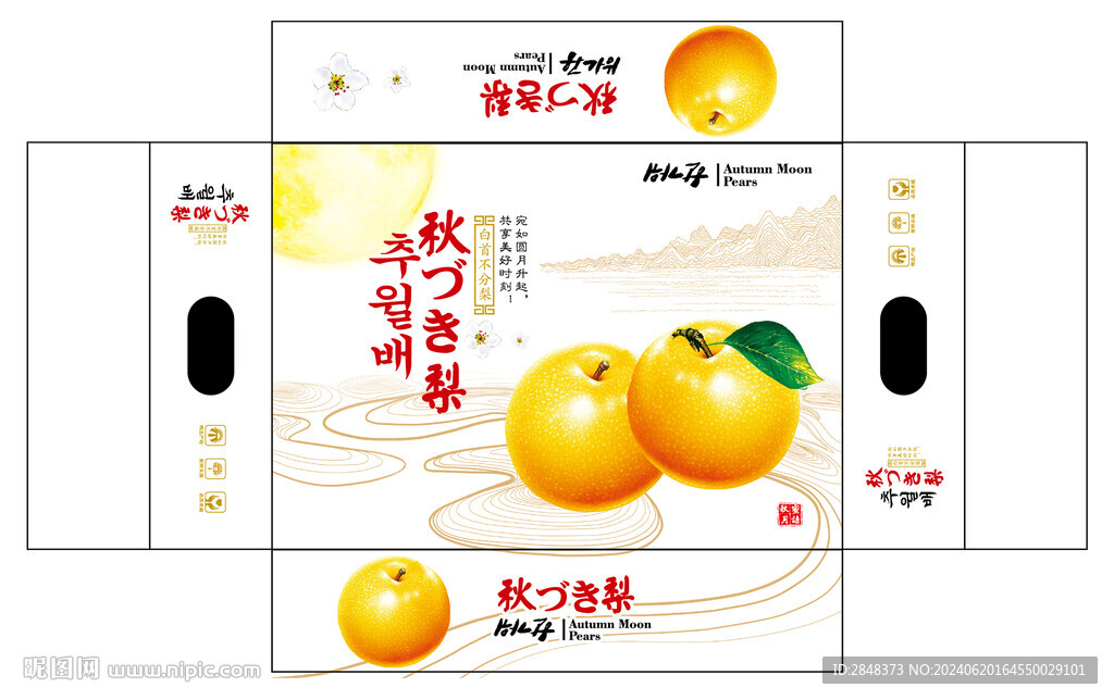 秋月梨平面展开图