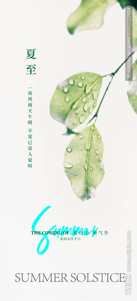 夏至节气海报