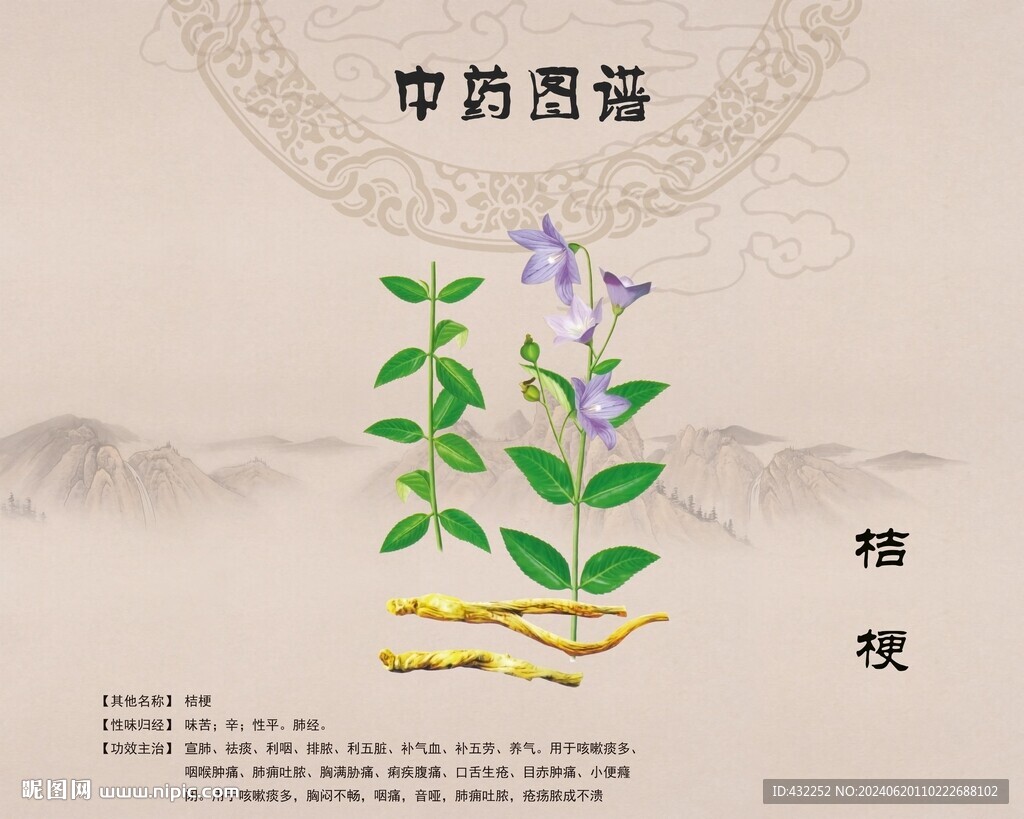 桔梗